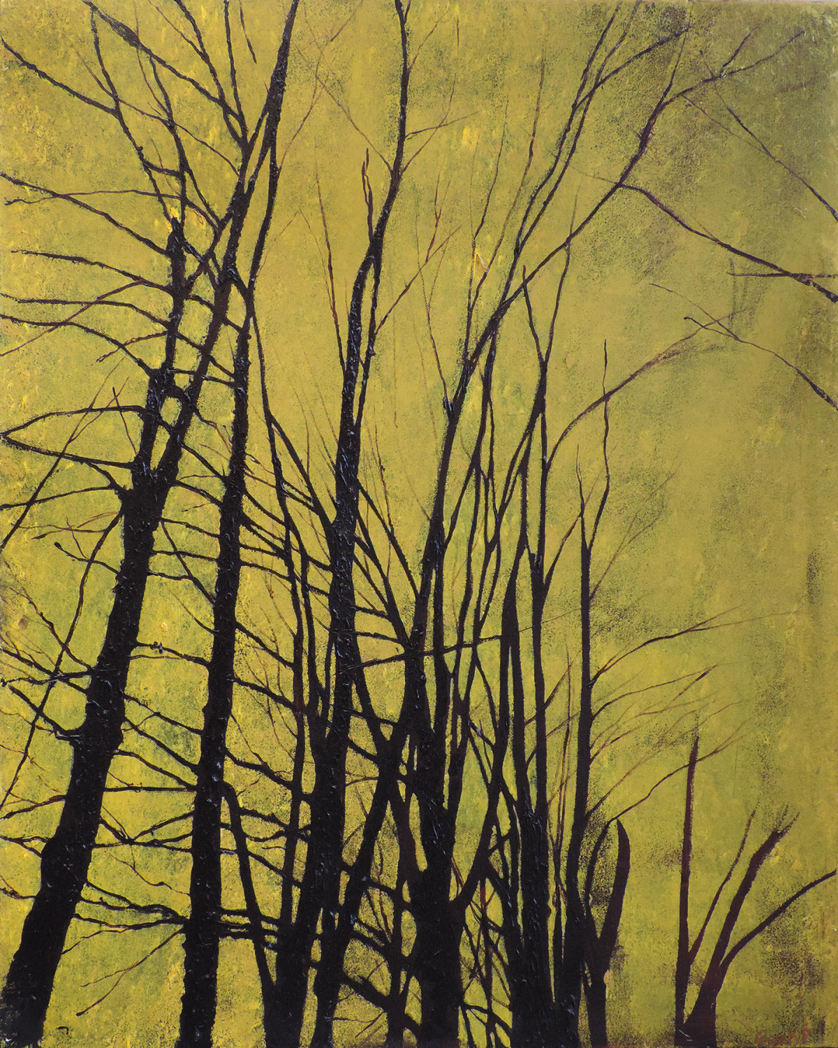 Lincoln Woods 17 - November - Oil on Canvas - 24 x 30